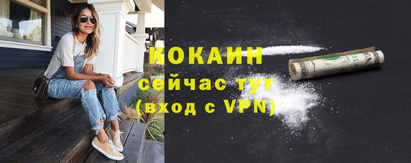 твердый Алексин