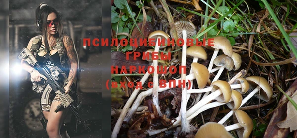 марки lsd Гусев