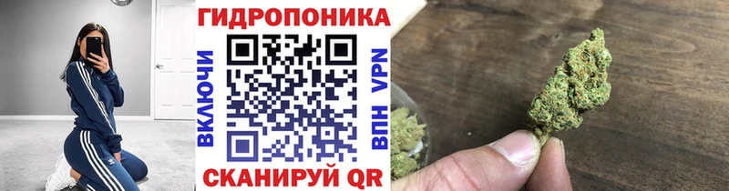 Шишки марихуана OG Kush  blacksprut tor  Ардон  цены  